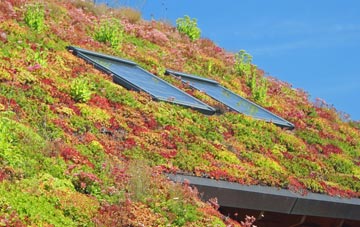 Llanrhidian living roof systems